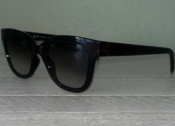 Salvatore Ferragamo Accessories - Salvatore Ferragamo SF1066S 210 Transparent Dark Brown Sunglasses. (52-21 140) 2